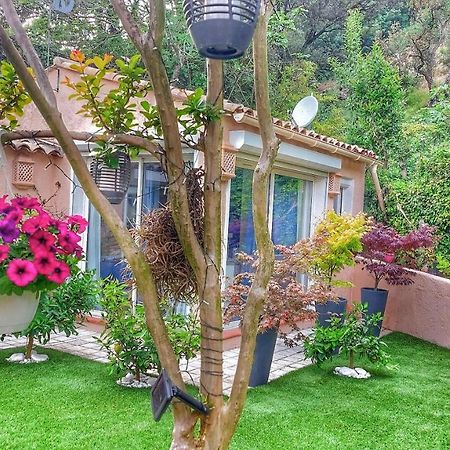 Dans Un Jardin Bb Et Jacuzzi Bed & Breakfast Mandelieu Dış mekan fotoğraf