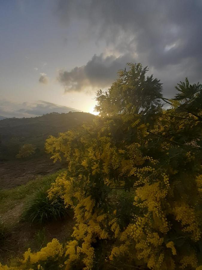 Dans Un Jardin Bb Et Jacuzzi Bed & Breakfast Mandelieu Dış mekan fotoğraf