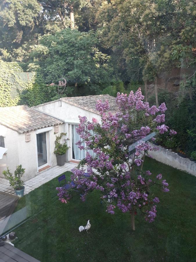 Dans Un Jardin Bb Et Jacuzzi Bed & Breakfast Mandelieu Dış mekan fotoğraf