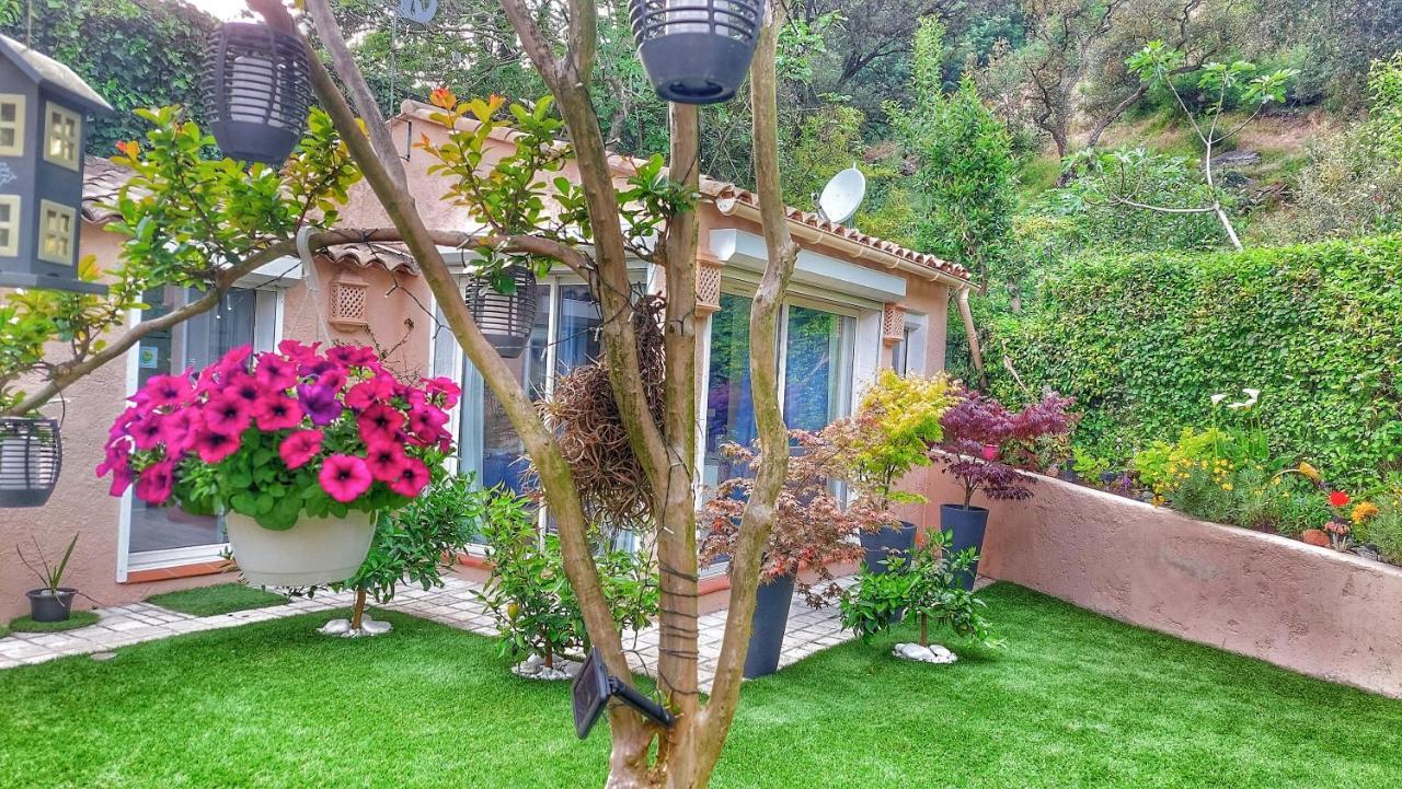 Dans Un Jardin Bb Et Jacuzzi Bed & Breakfast Mandelieu Dış mekan fotoğraf